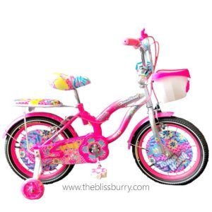 Tomahawk Double Seat Bicycle