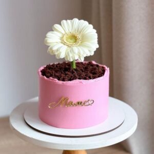 Sun Flower Vase Cake